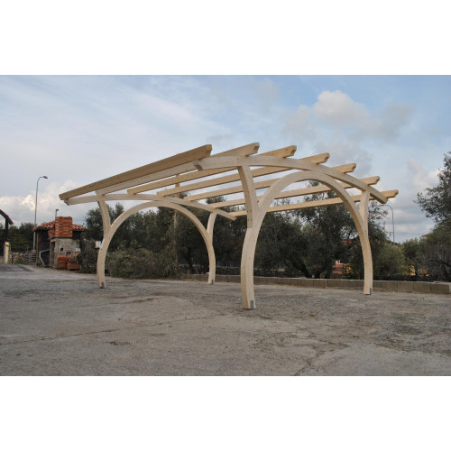 Автонавес Авангард