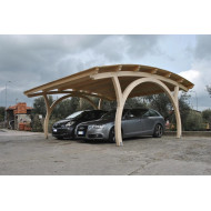 Автонавес Авангард