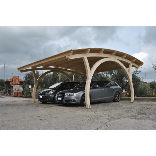 Автонавес Авангард